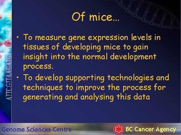 Of mice… • To measure gene expression levels in tissues of developing mice to