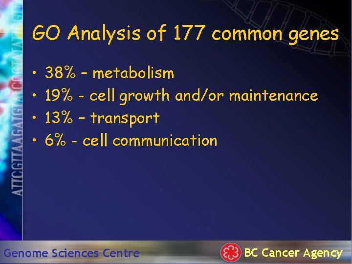 GO Analysis of 177 common genes • • 38% – metabolism 19% - cell