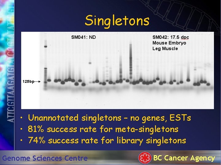 Singletons • Unannotated singletons – no genes, ESTs • 81% success rate for meta-singletons