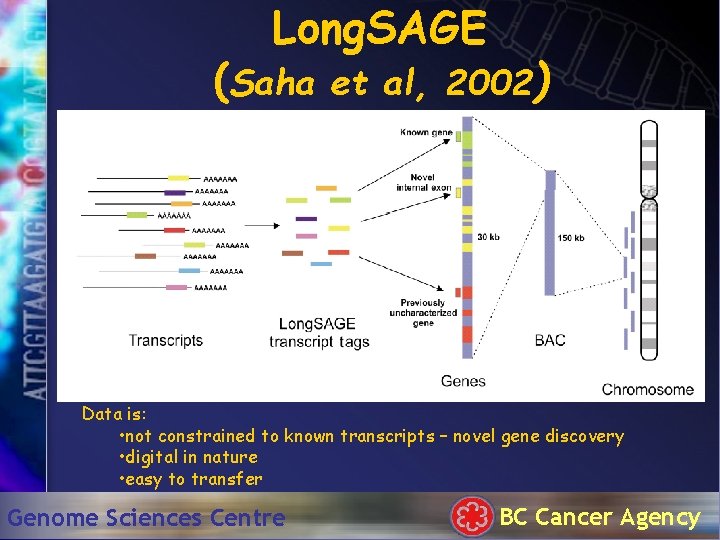 Long. SAGE (Saha et al, 2002) Data is: • not constrained to known transcripts