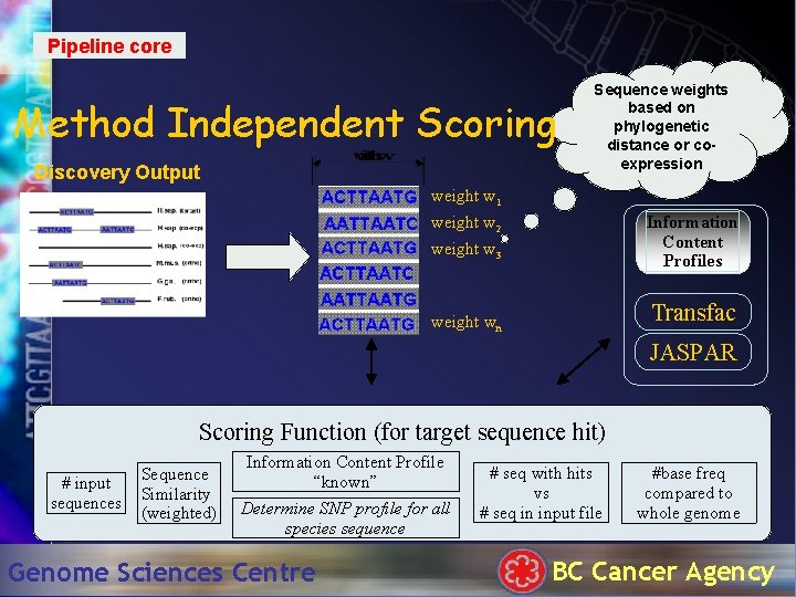 Pipeline core Method Independent Scoring Discovery Output Sequence weights based on phylogenetic distance or