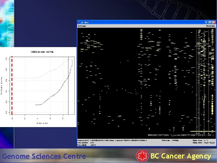 Genome Sciences Centre BC Cancer Agency 