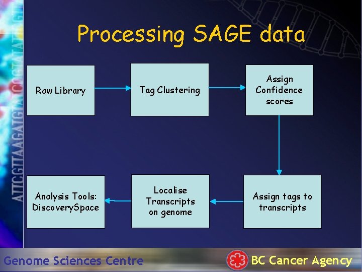 Processing SAGE data Raw Library Tag Clustering Analysis Tools: Discovery. Space Genome Sciences Centre