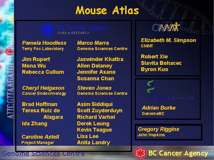 Mouse Atlas Pamela Hoodless Marco Marra Terry Fox Laboratory Genome Sciences Centre Jim Rupert