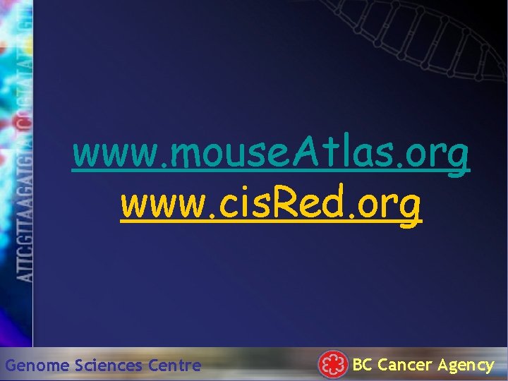 www. mouse. Atlas. org www. cis. Red. org Genome Sciences Centre BC Cancer Agency