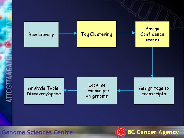 Raw Library Analysis Tools: Discovery. Space Genome Sciences Centre Tag Clustering Localise Transcripts on