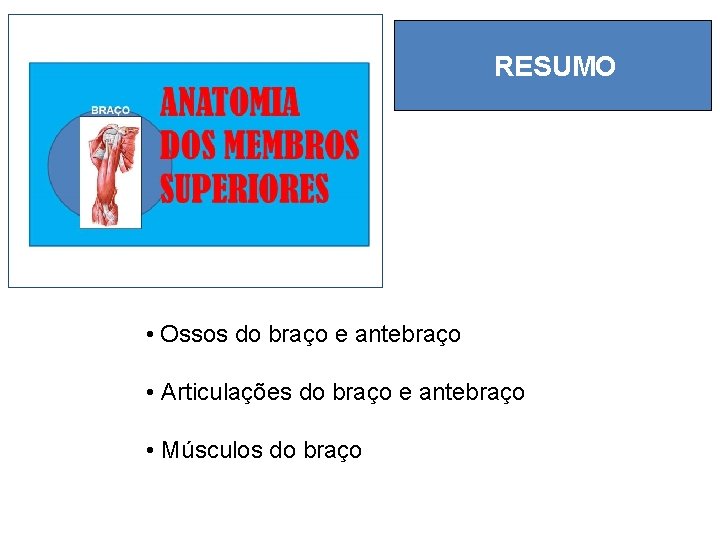 RESUMO • Ossos do braço e antebraço • Articulações do braço e antebraço •