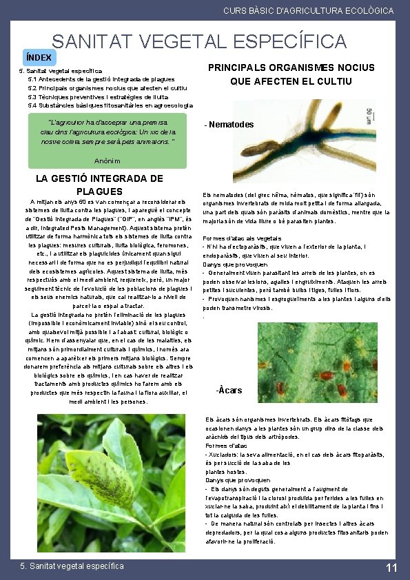 CURS BÀSIC D'AGRICULTURA ECOLÒGICA SANITAT VEGETAL ESPECÍFICA ÍNDEX 5. Sanitat vegetal específica 5. 1