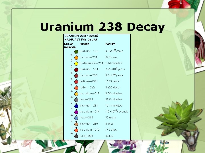 Uranium 238 Decay 