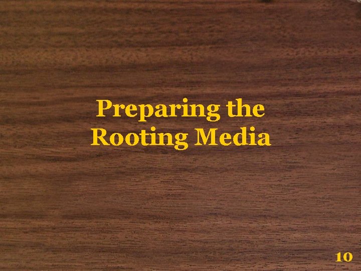 Preparing the Rooting Media 10 