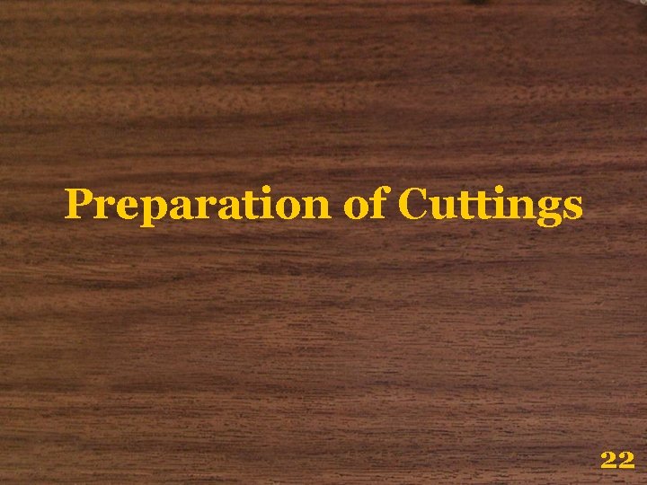 Preparation of Cuttings 22 