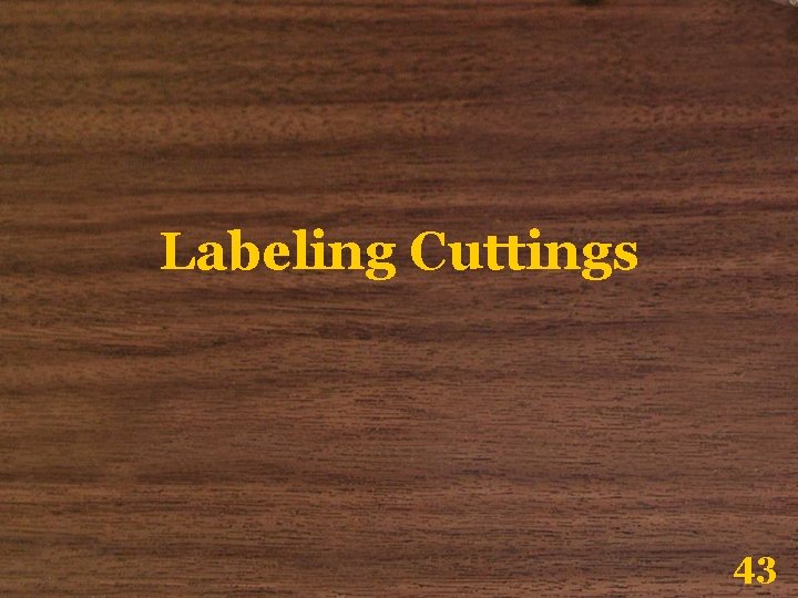 Labeling Cuttings 43 Labeling Cuttings 43