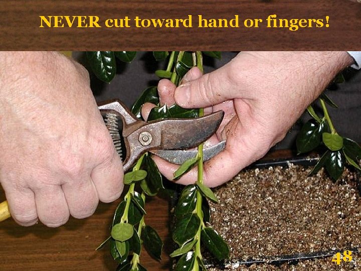 NEVER cut toward hand or fingers! 48 