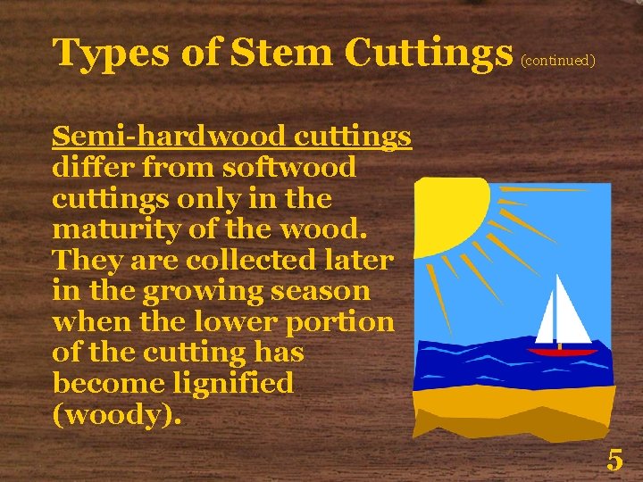 Types of Stem Cuttings (continued) Semi-hardwood cuttings differ from softwood cuttings only in the