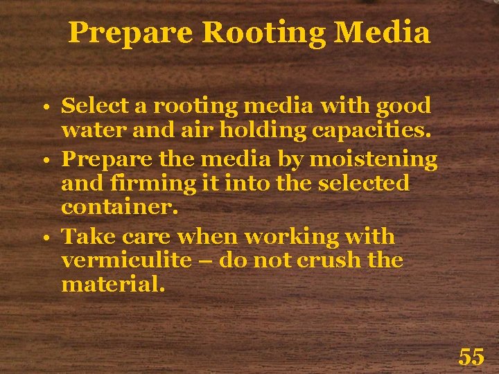 Prepare Rooting Media • Select a rooting media with good water and air holding