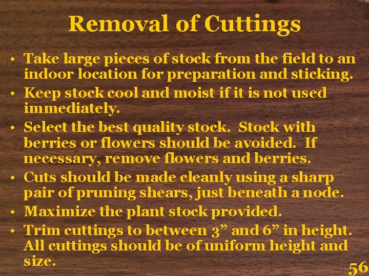 Removal of Cuttings • Take large pieces of stock from the field to an