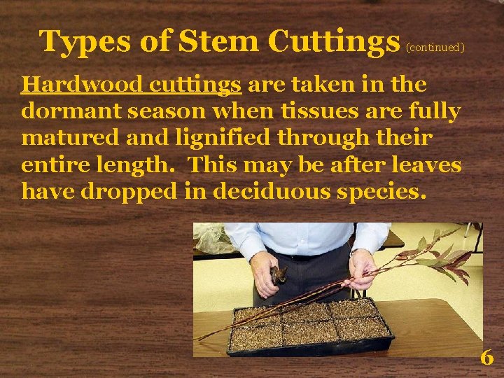 Types of Stem Cuttings (continued) Hardwood cuttings are taken in the dormant season when