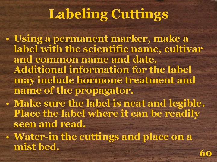 Labeling Cuttings • Using a permanent marker, make a label with the scientific name,