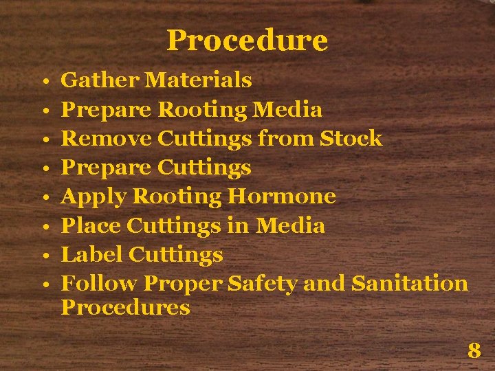 Procedure • • Gather Materials Prepare Rooting Media Remove Cuttings from Stock Prepare Cuttings