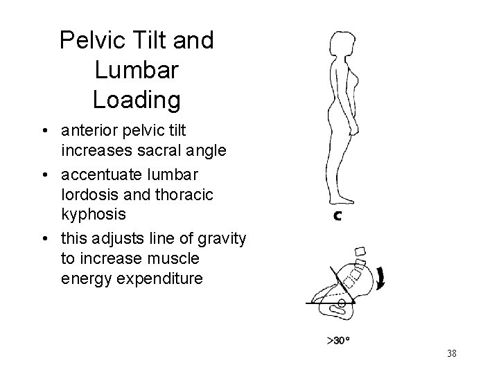 Pelvic Tilt and Lumbar Loading • anterior pelvic tilt increases sacral angle • accentuate Pelvic Tilt and Lumbar Loading • anterior pelvic tilt increases sacral angle • accentuate
