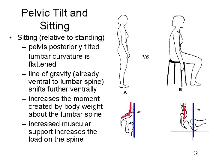 Pelvic Tilt and Sitting • Sitting (relative to standing) – pelvis posteriorly tilted –