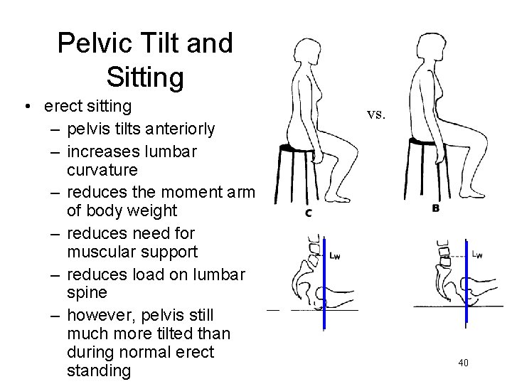 Pelvic Tilt and Sitting • erect sitting – pelvis tilts anteriorly – increases lumbar