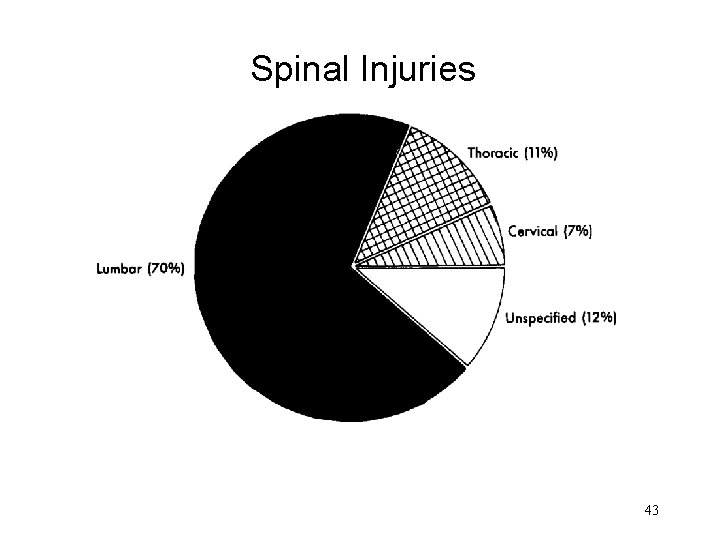 Spinal Injuries 43 Spinal Injuries 43