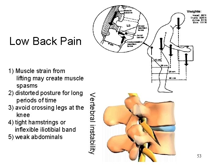 Low Back Pain Vertebral instability 1) Muscle strain from lifting may create muscle spasms Low Back Pain Vertebral instability 1) Muscle strain from lifting may create muscle spasms
