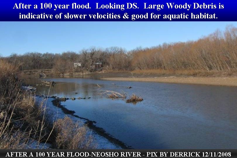 After a 100 year flood. Looking DS. Large Woody Debris is indicative of slower