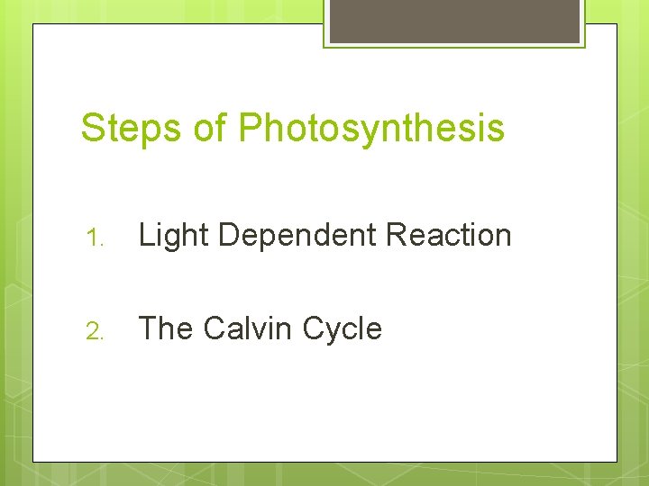 Steps of Photosynthesis 1. Light Dependent Reaction 2. The Calvin Cycle 