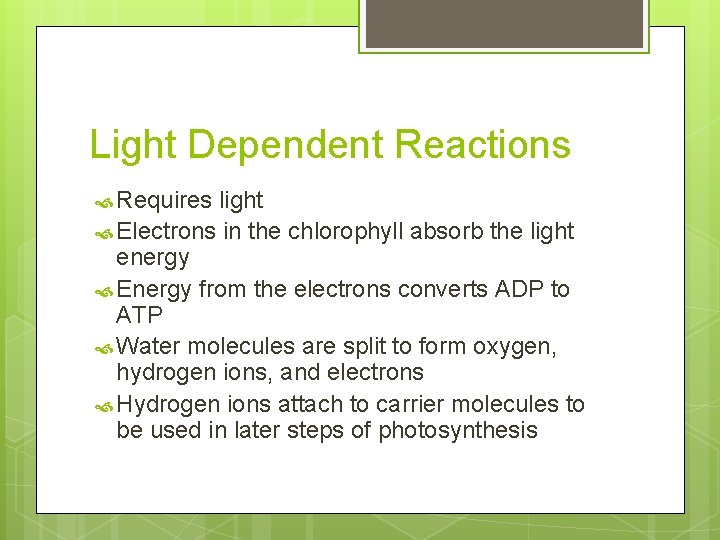 Light Dependent Reactions Requires light Electrons in the chlorophyll absorb the light energy Energy