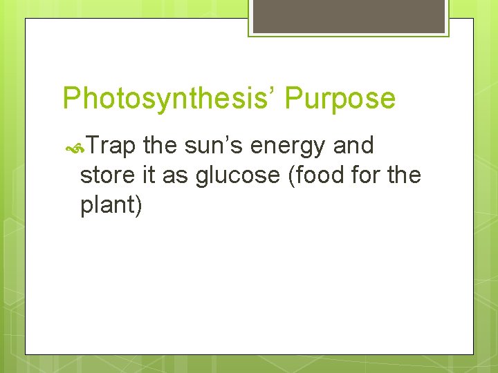 Photosynthesis’ Purpose Trap the sun’s energy and store it as glucose (food for the