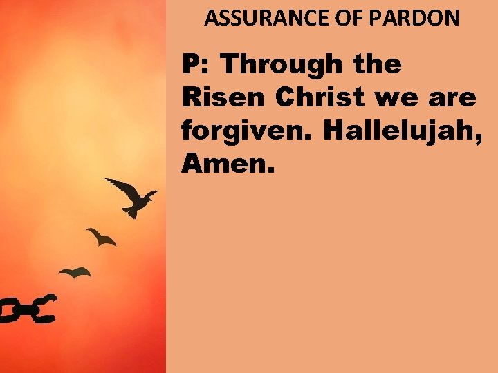 ASSURANCE OF PARDON P: Through the Risen Christ we are forgiven. Hallelujah, Amen. 