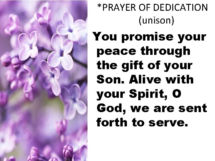 *PRAYER OF DEDICATION (unison) You promise your peace through the gift of your Son.