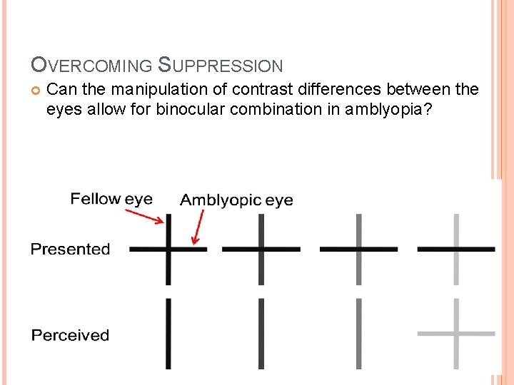 OVERCOMING SUPPRESSION Can the manipulation of contrast differences between the eyes allow for binocular