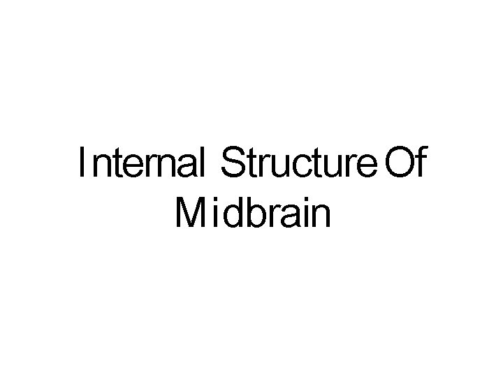 I nternal Structure Of M i dbrain 