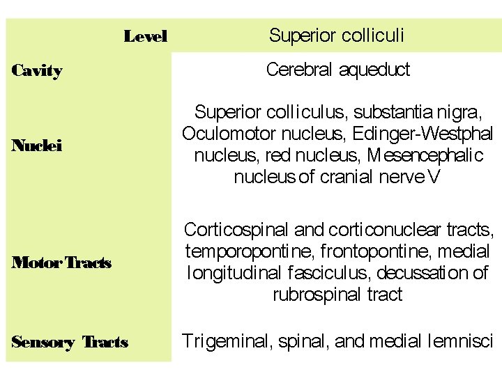 Level Superior colliculi Cavity Cerebral aqueduct Nuclei Superior coll i culus, substantia nigra, Oculomotor