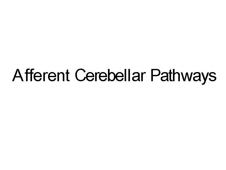 A fferent Cerebell ar Pathways 