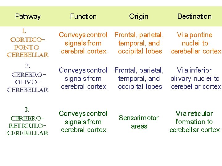 Pathway Function Ori gin Destination 1. corticoponto cerebellar Conveys control Frontal, parietal, Via pontine