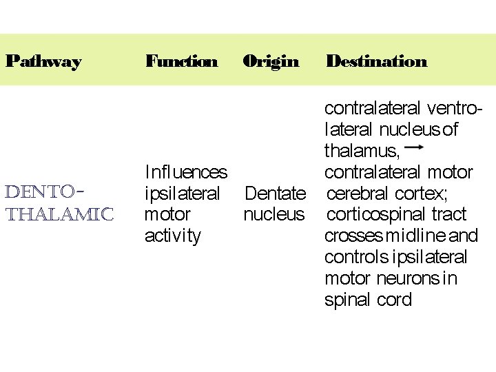 Pathway Function Origin Destination dentothalamic contralateral ventrol ateral nucleus of thalamus, I nfl uences