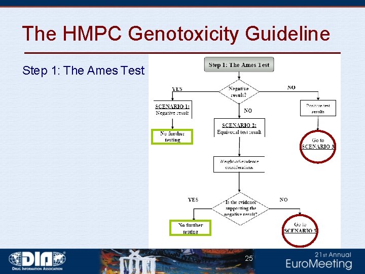 The HMPC Genotoxicity Guideline Step 1: The Ames Test 25 