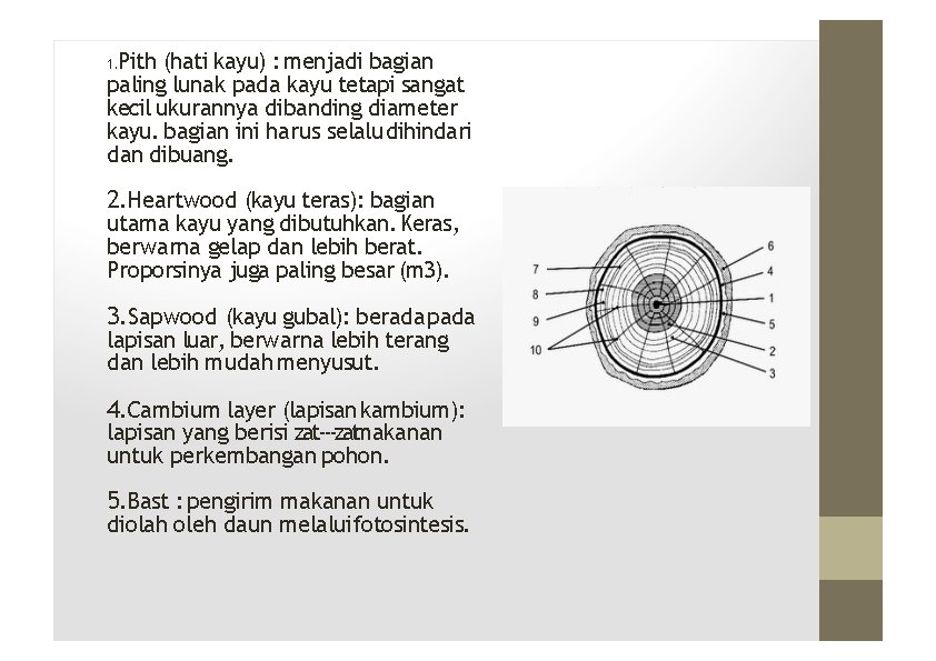 Pith (hati kayu) : menjadi bagian paling lunak pada kayu tetapi sangat kecil ukurannya