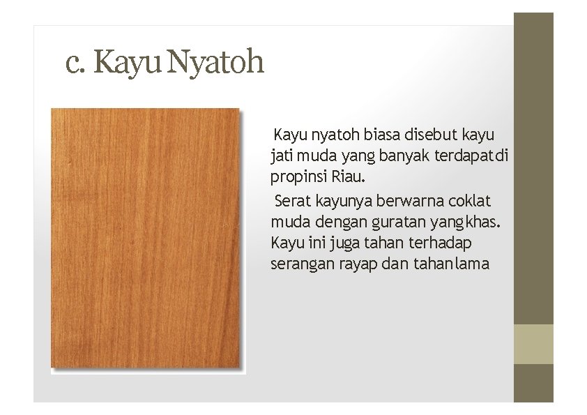 c. Kayu Nyatoh Kayu nyatoh biasa disebut kayu jati muda yang banyak terdapat di