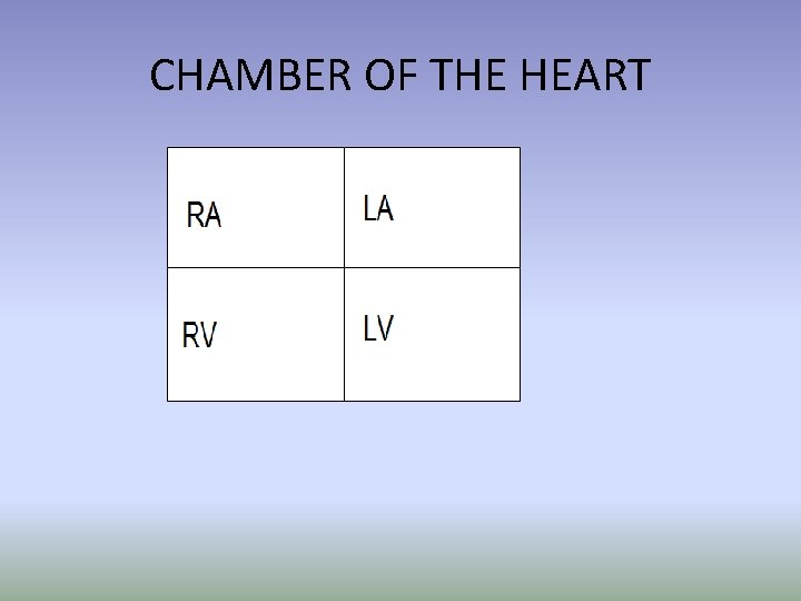 CHAMBER OF THE HEART 