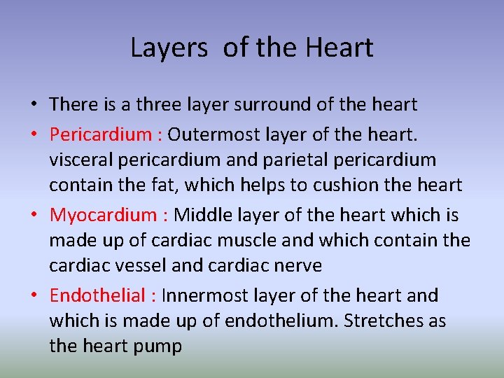Layers of the Heart • There is a three layer surround of the heart