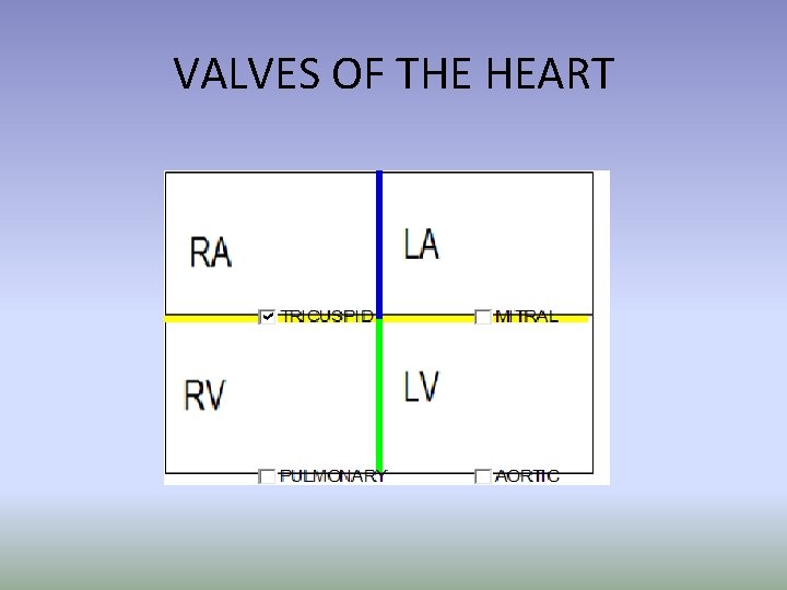 VALVES OF THE HEART VALVES OF THE HEART