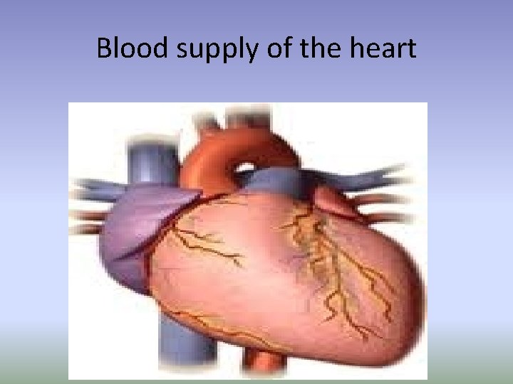 Blood supply of the heart Blood supply of the heart