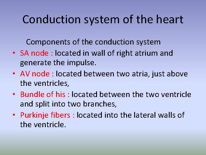 Conduction system of the heart Components of the conduction system • SA node :