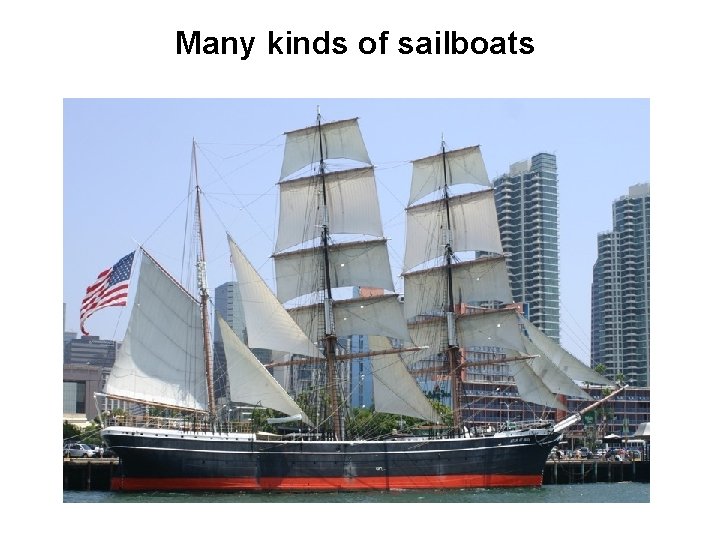 Many kinds of sailboats 