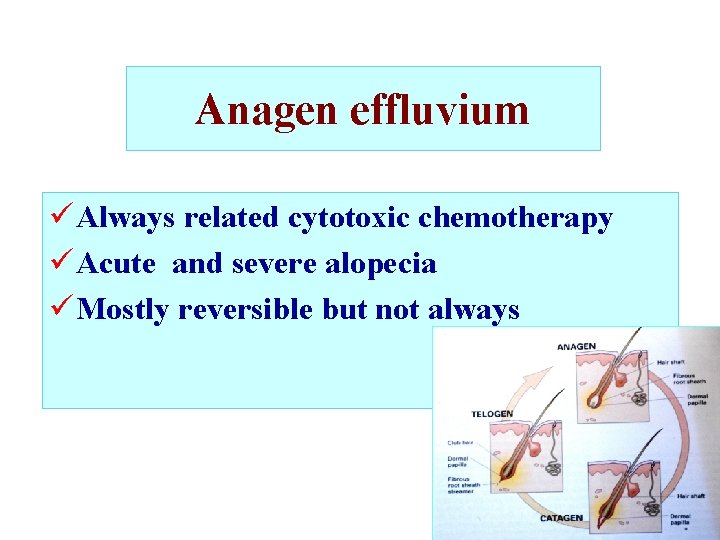 Anagen effluvium ü Always related cytotoxic chemotherapy ü Acute and severe alopecia ü Mostly